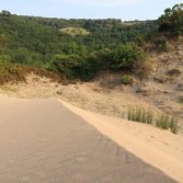 hatipler-plaji-bartin