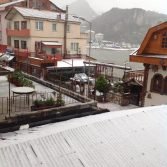 amasra-canli-balik-kar