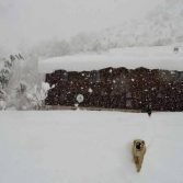 Kure-Nationalpark-Berghaus