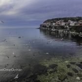 amasra-gun-batimi-restoran-davetsiz-misafir-5